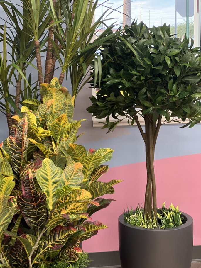 4VWygXz8SwGDdwOKk9Y7dg