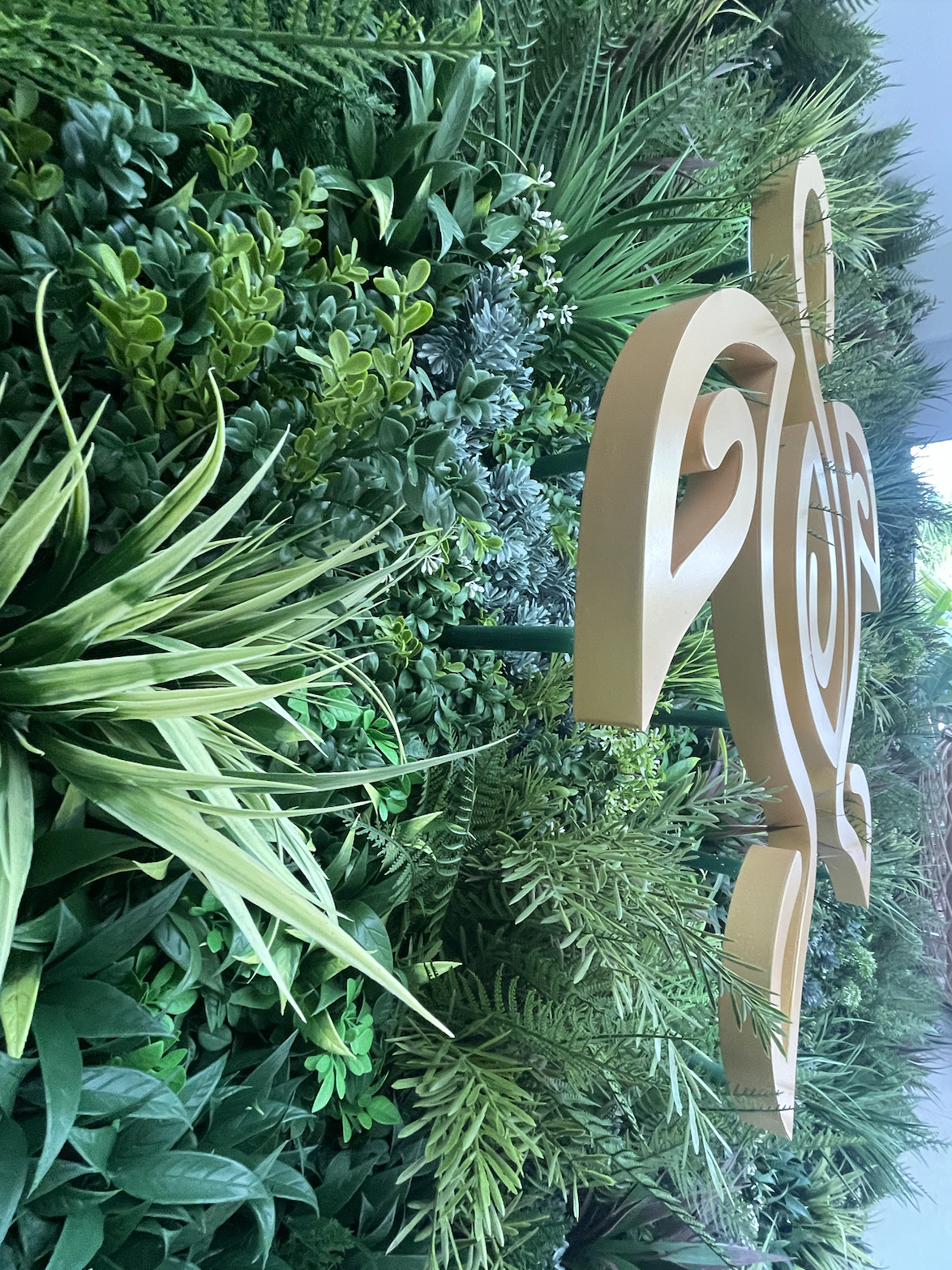 BEACHCOMBER CLOSE UP-1