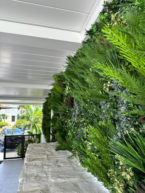 Estudio Puerto Rico 1