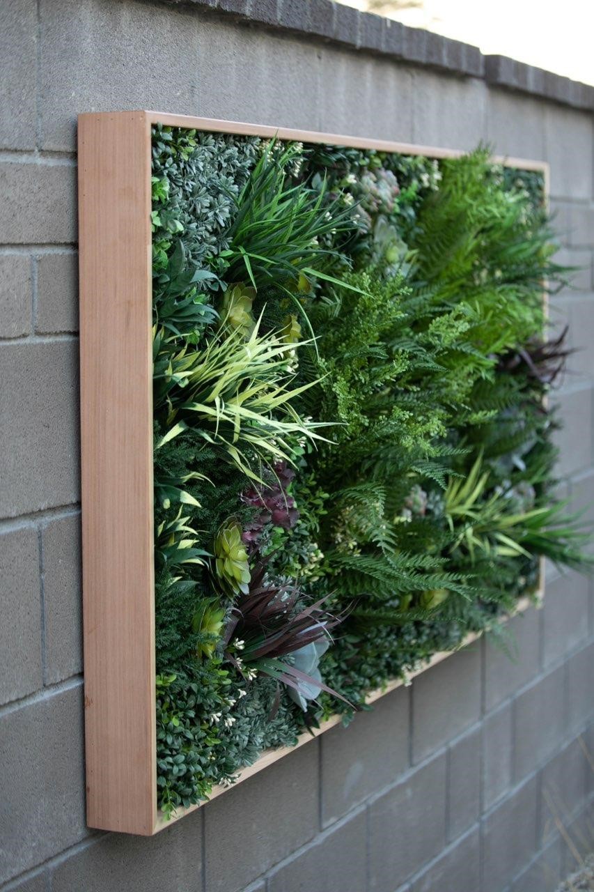 Frame Framed Wood Frame Vistafolia Feature Framed 