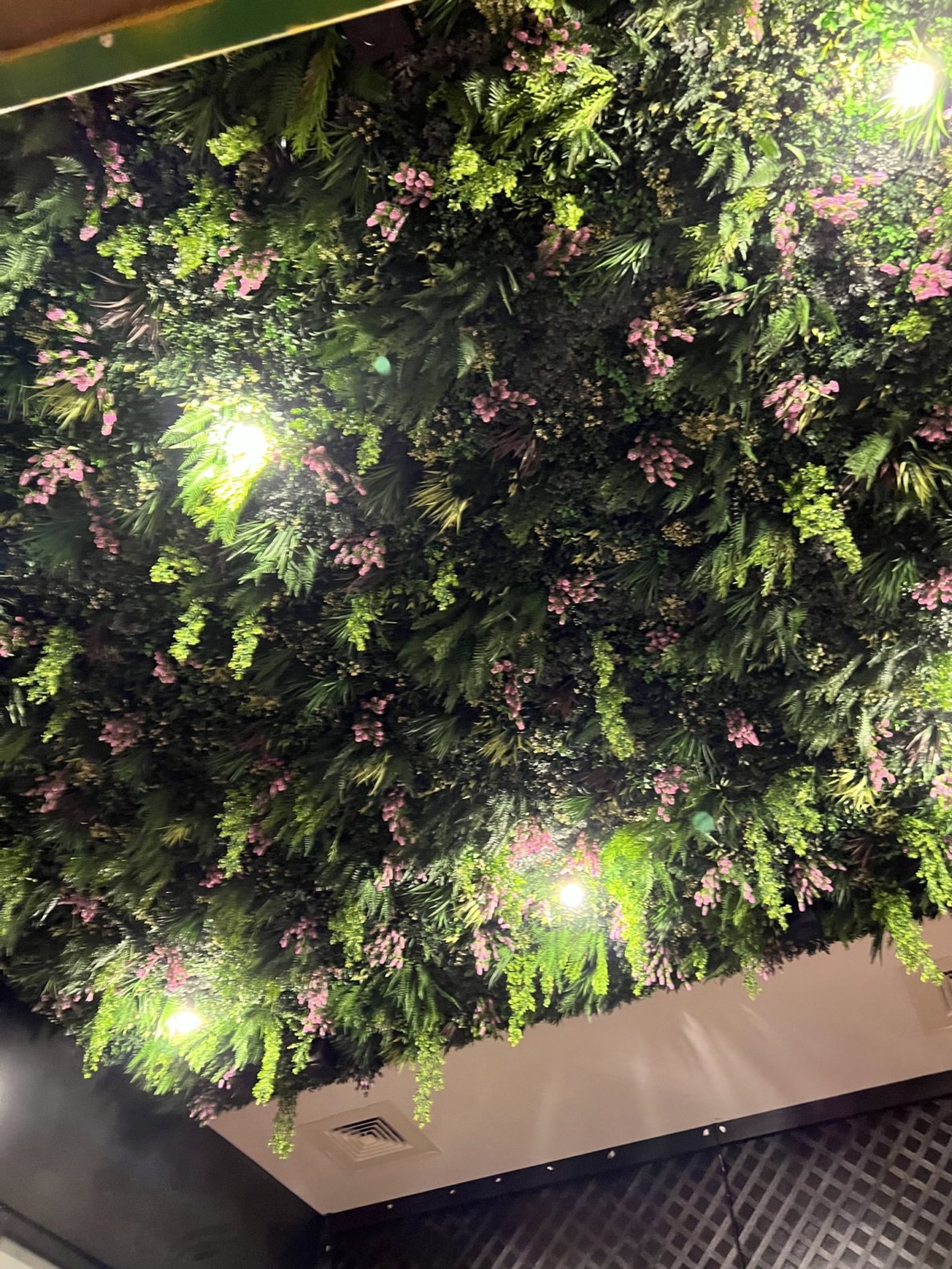 Halstead Pink Hops Spring Pink Ceiling Install RHode Island 