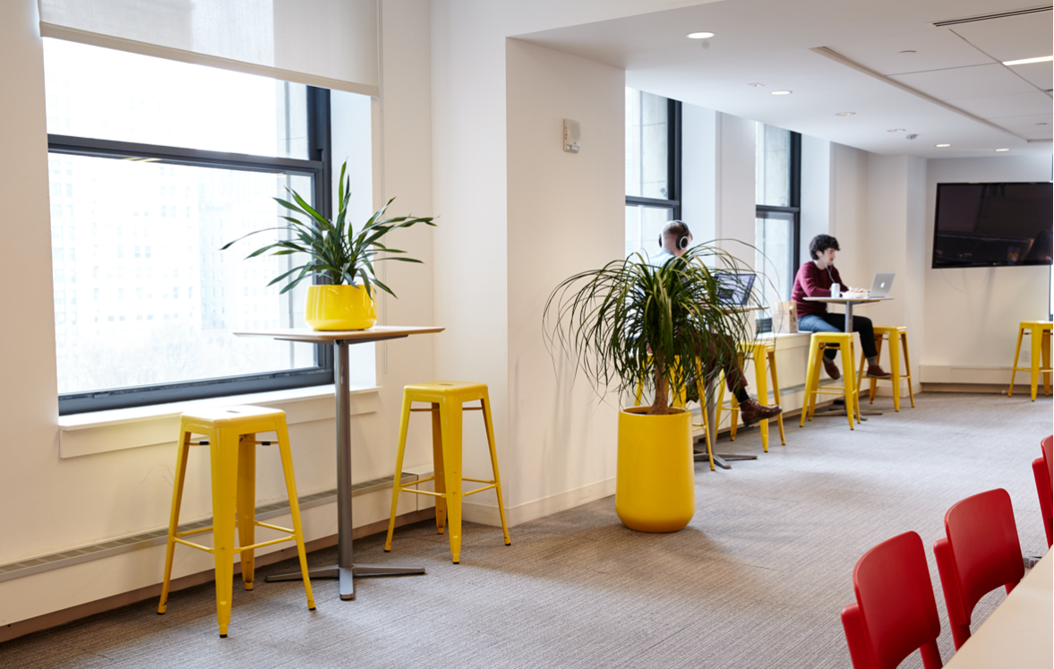 JAYSCOTTPLANER INDOOR