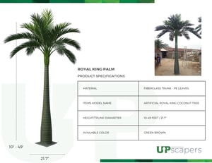Palm Tree Options (4)