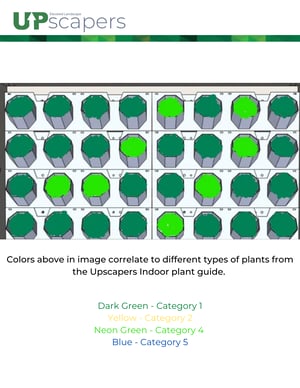 Plants Design Set Ups
