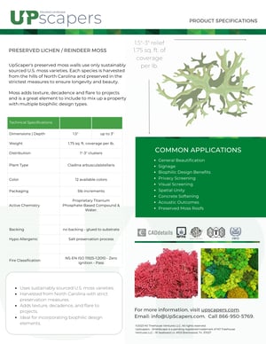 Preserved LichenReindeer Moss