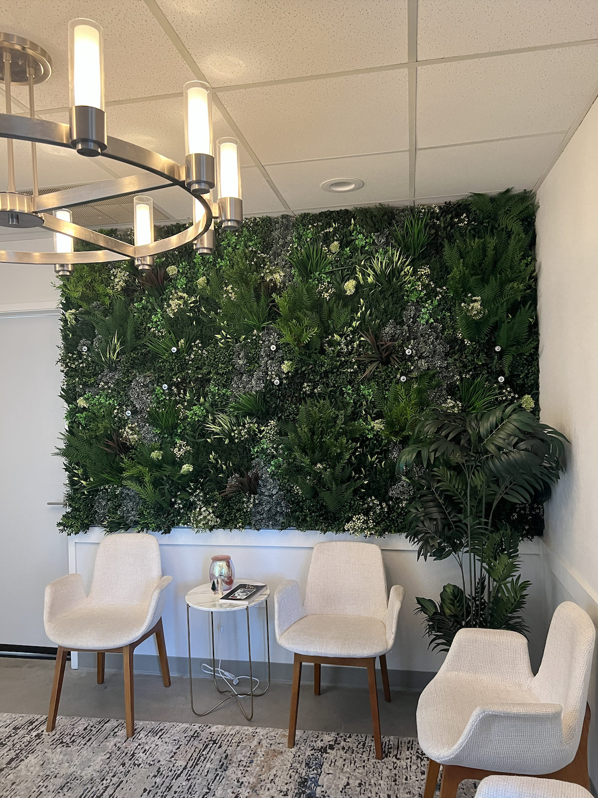 Screenshot 2026-02-23 at 3.09.37 PM