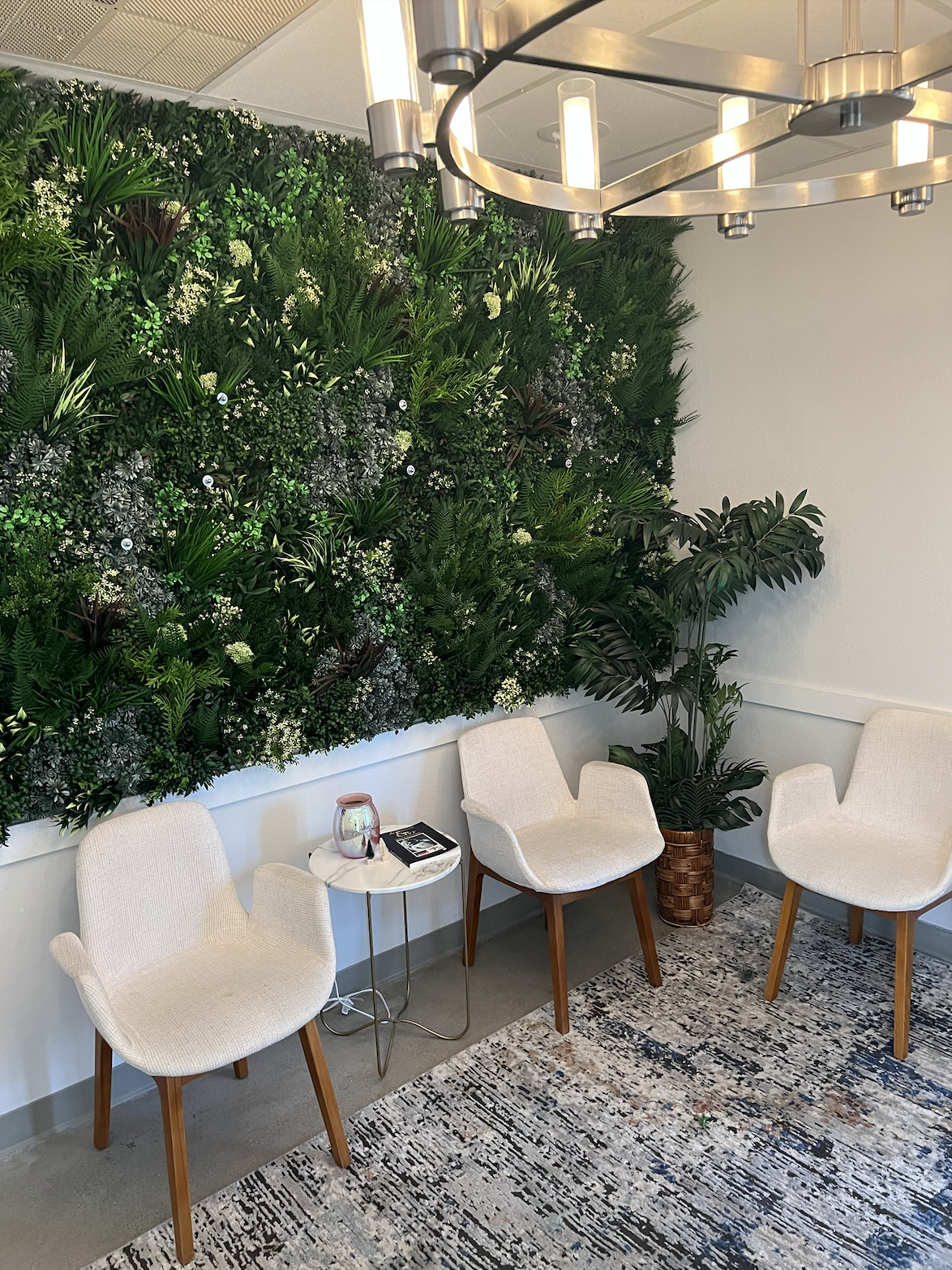 Screenshot 2026-02-23 at 3.09.48 PM