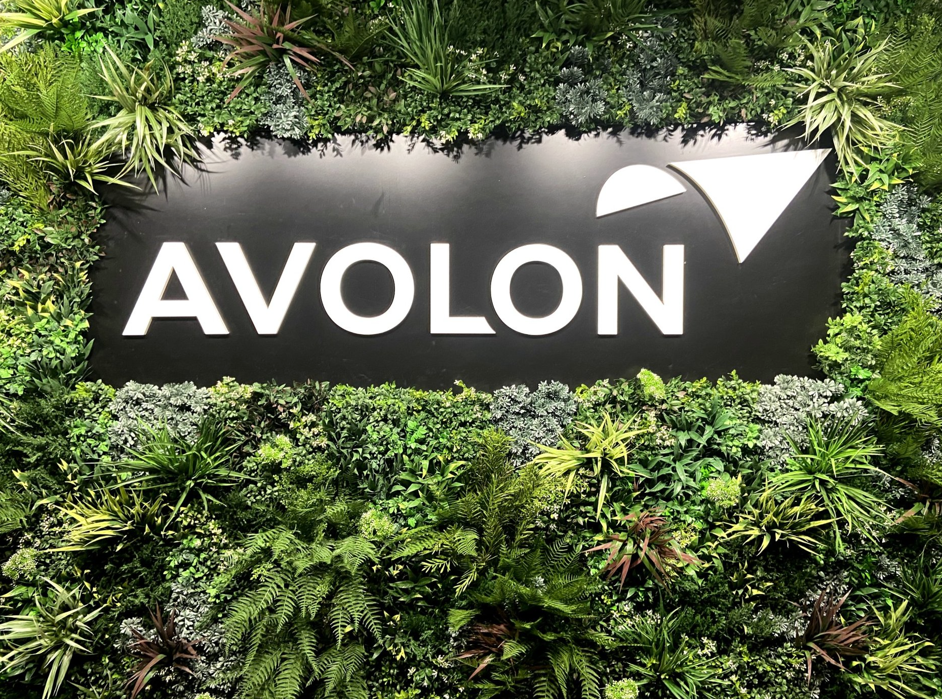 Screenshot 2026-02-23 at 3.51.17 PM