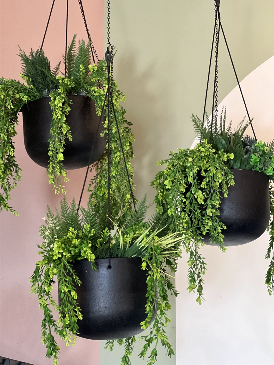 Screenshot 2026-02-23 at 4.57.01 PM