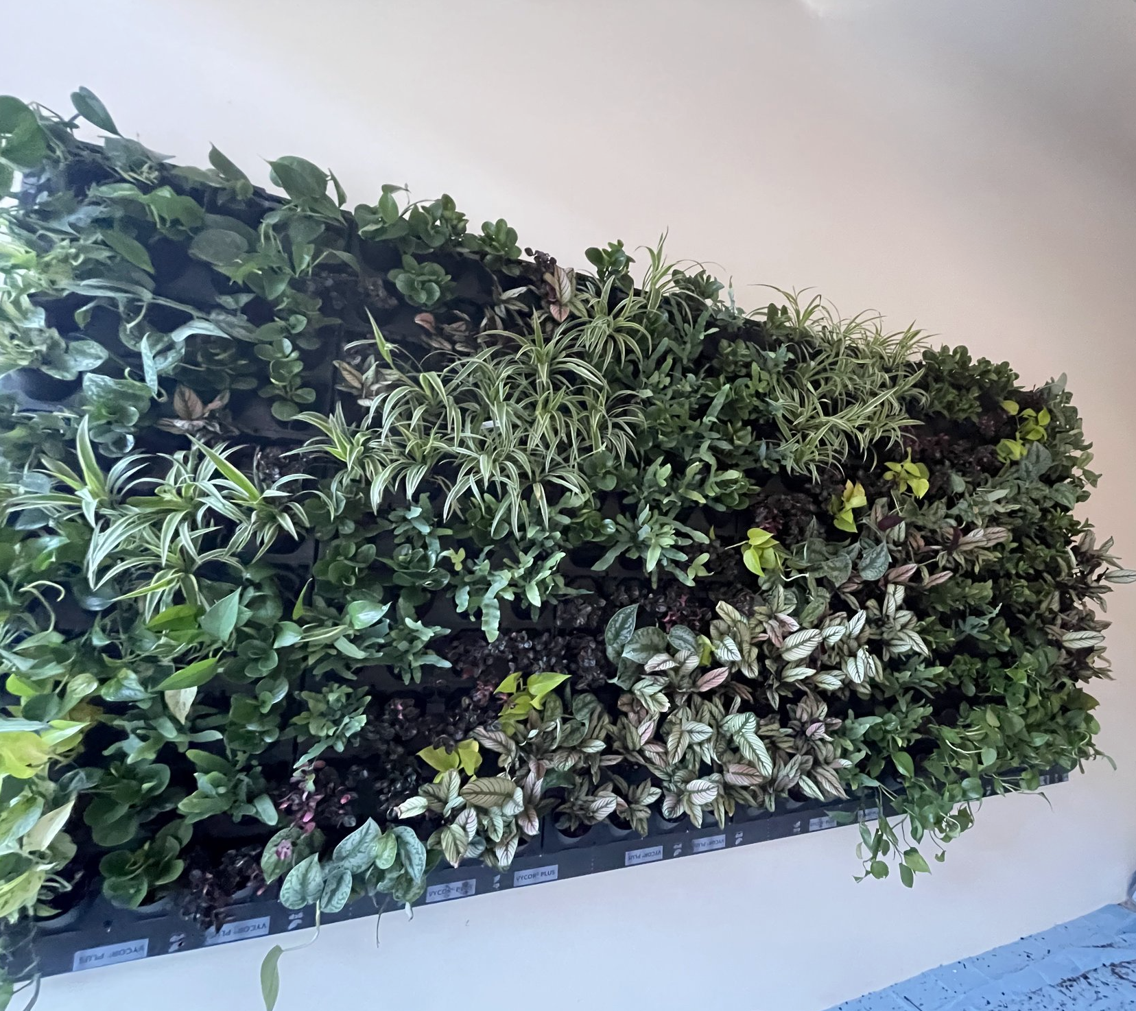 Screenshot 2026-02-23 at 5.21.05 PM