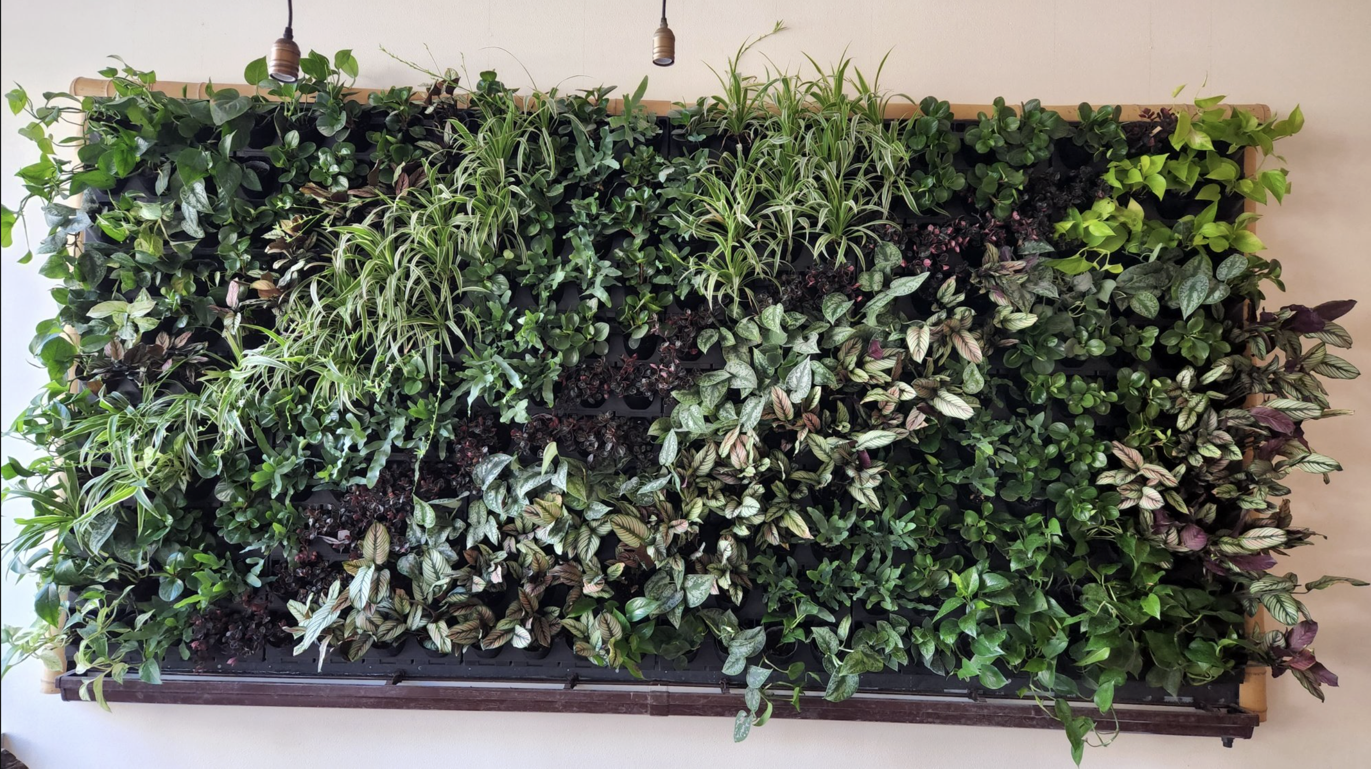 Screenshot 2026-02-23 at 5.21.52 PM