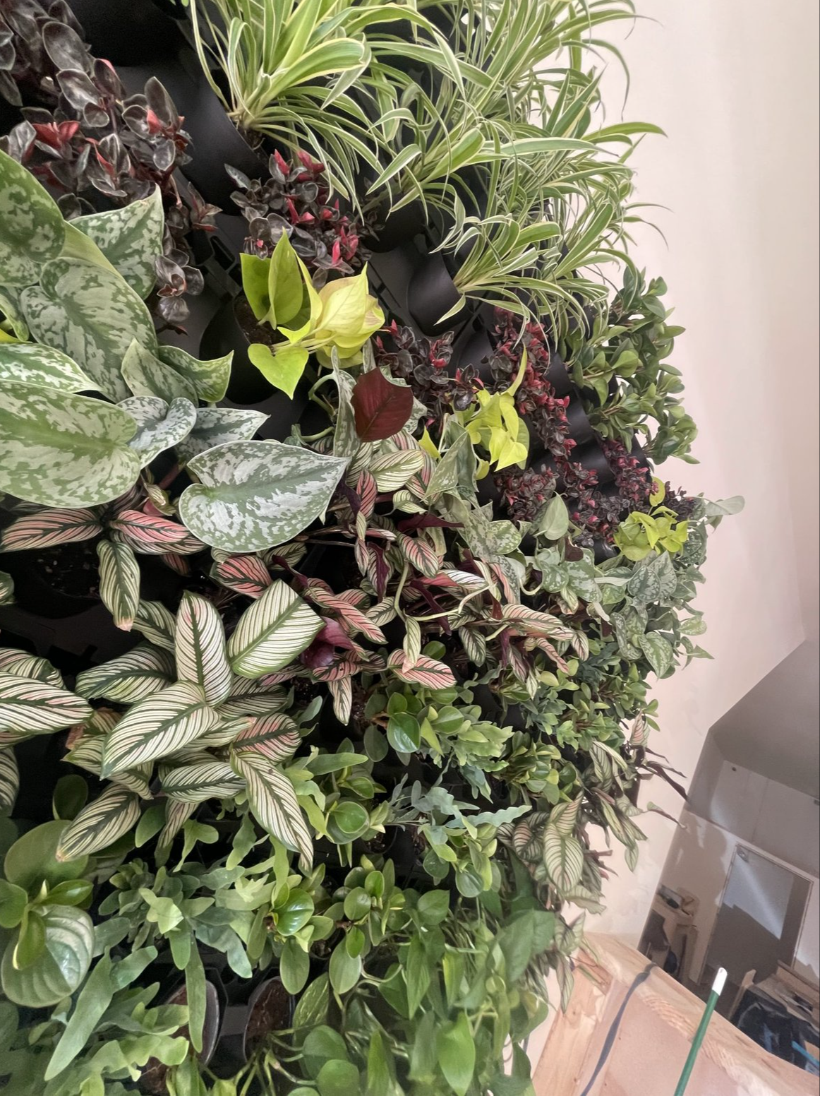 Screenshot 2026-02-23 at 5.22.48 PM