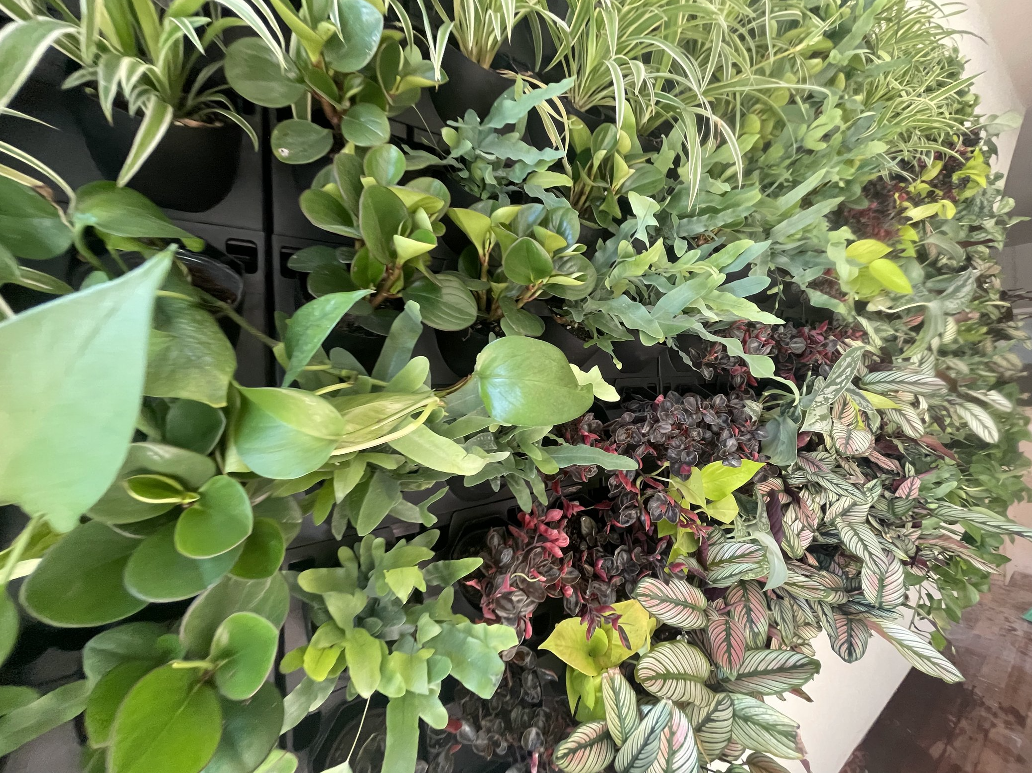 Screenshot 2026-02-23 at 5.23.04 PM