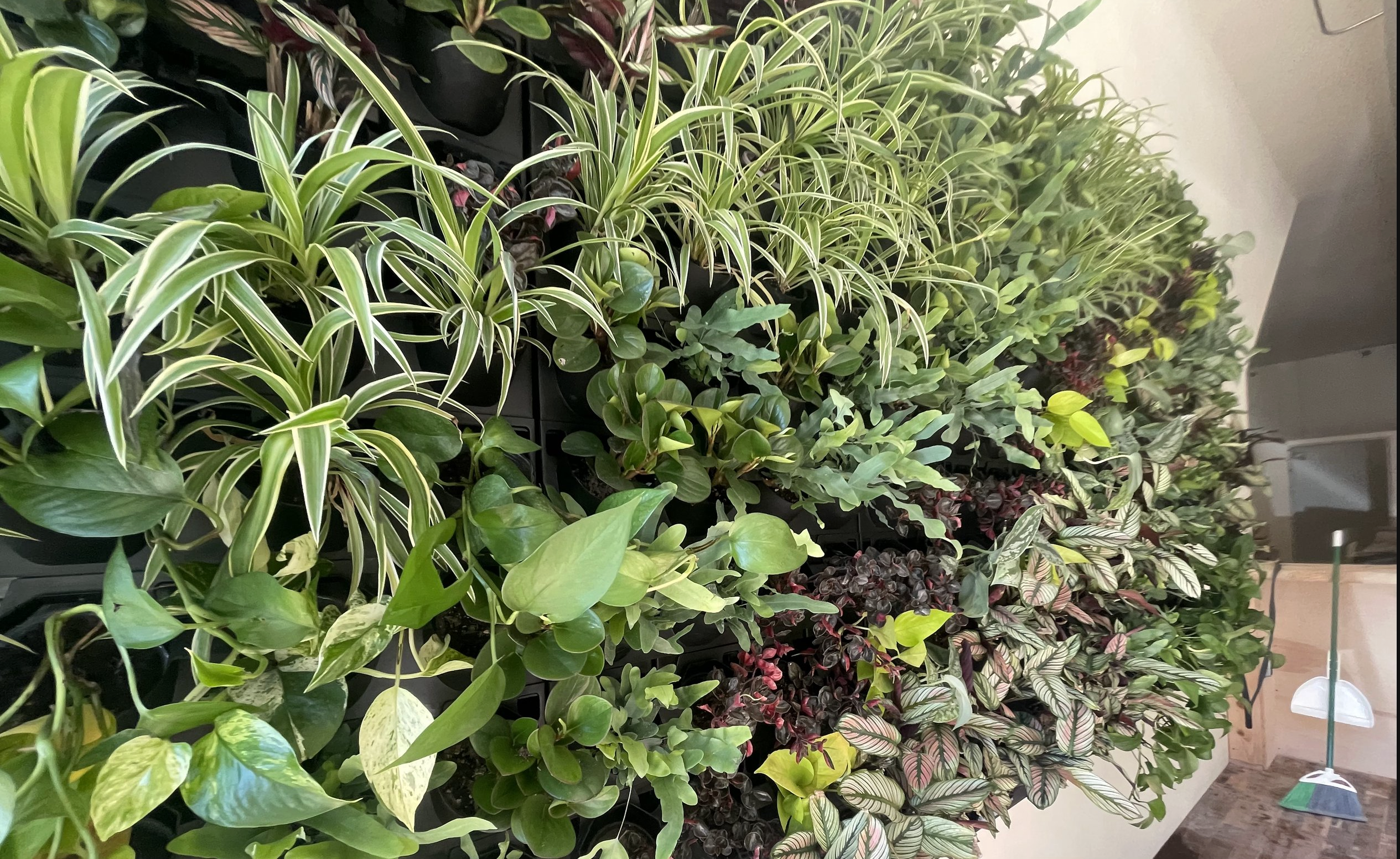 Screenshot 2026-02-23 at 5.23.26 PM