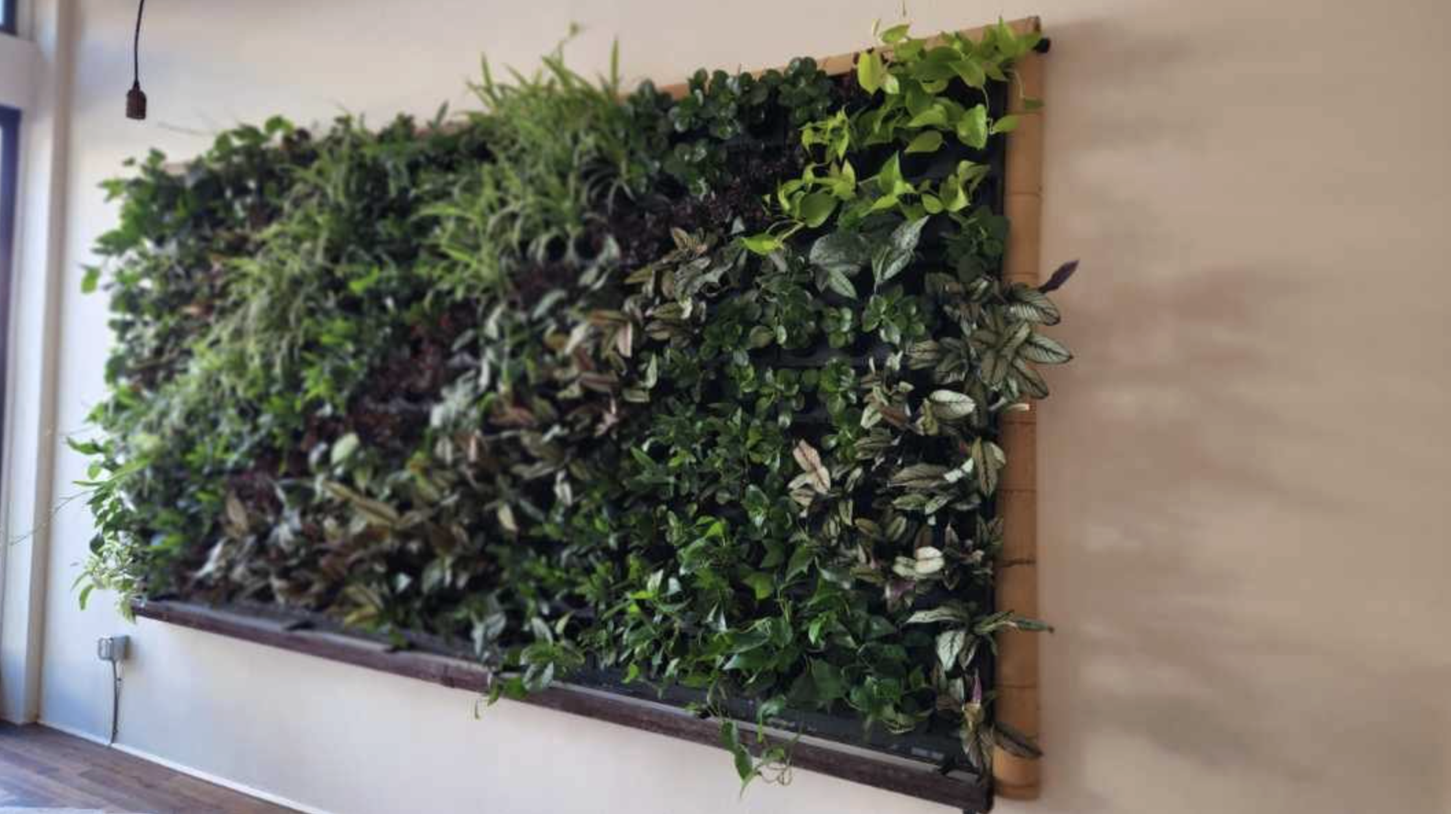 Screenshot 2026-02-23 at 5.27.19 PM