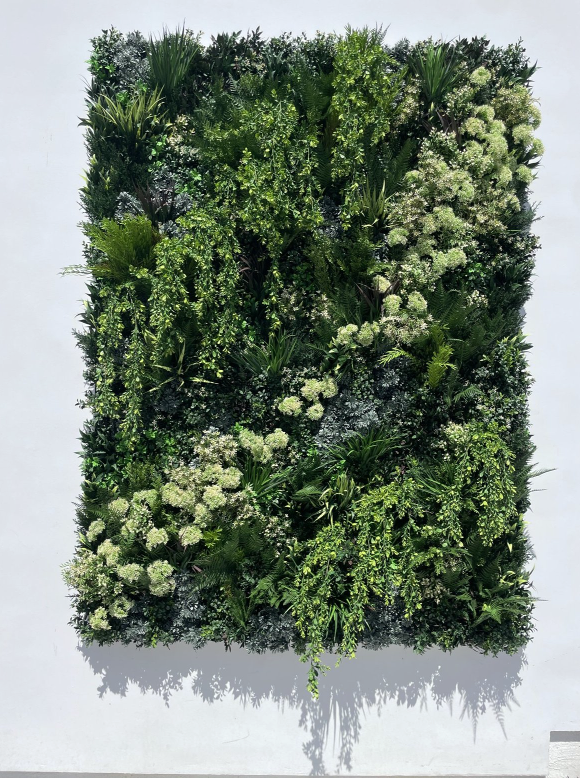 Screenshot 2026-02-24 at 1.21.59 PM