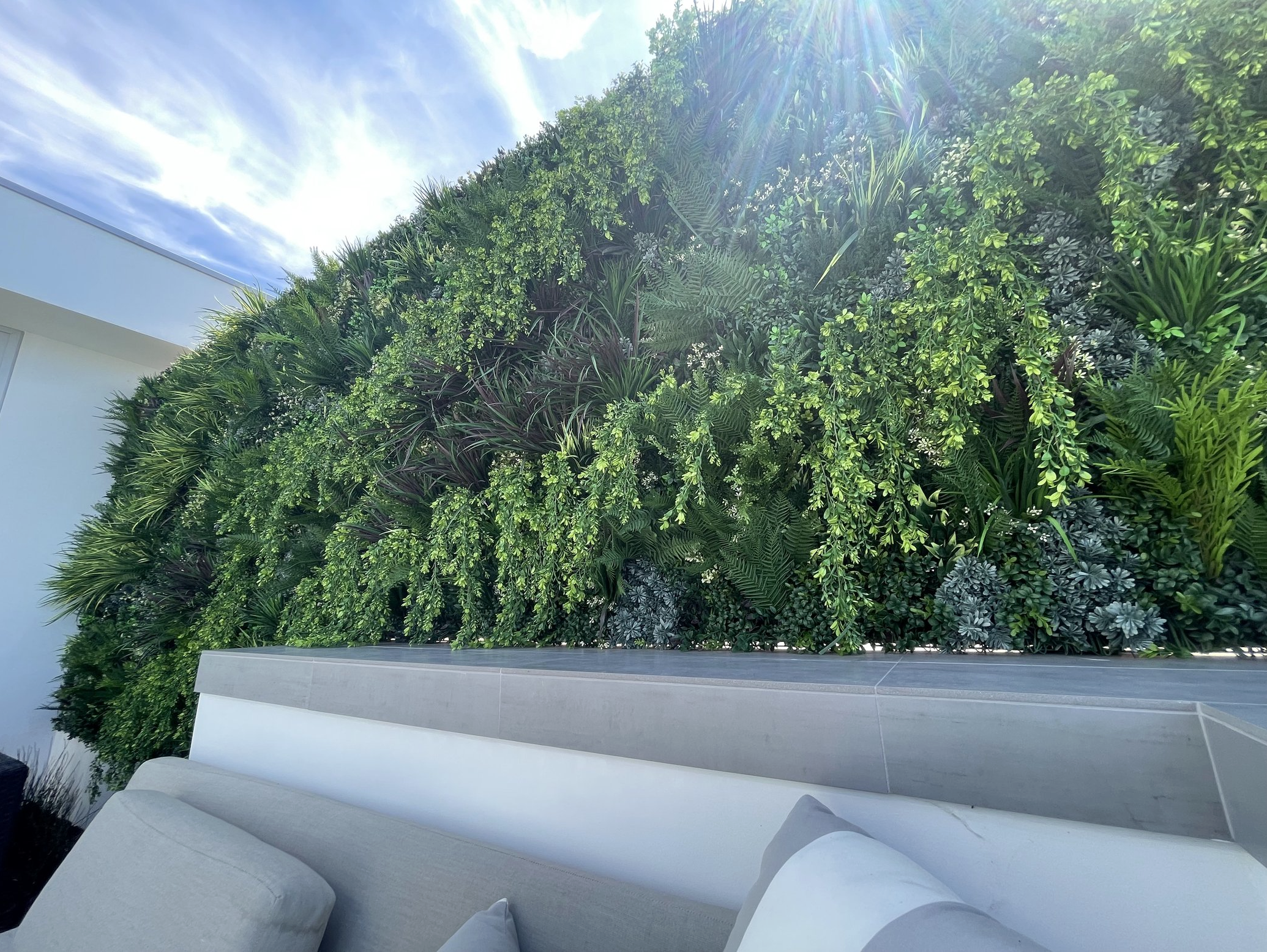 Screenshot 2026-02-24 at 1.23.28 PM