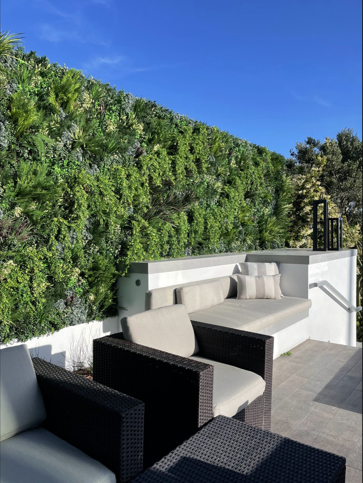 Screenshot 2026-02-24 at 1.25.36 PM