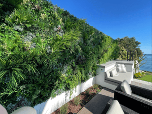 Pizmo Beach, CA Designed Green Wall Residential