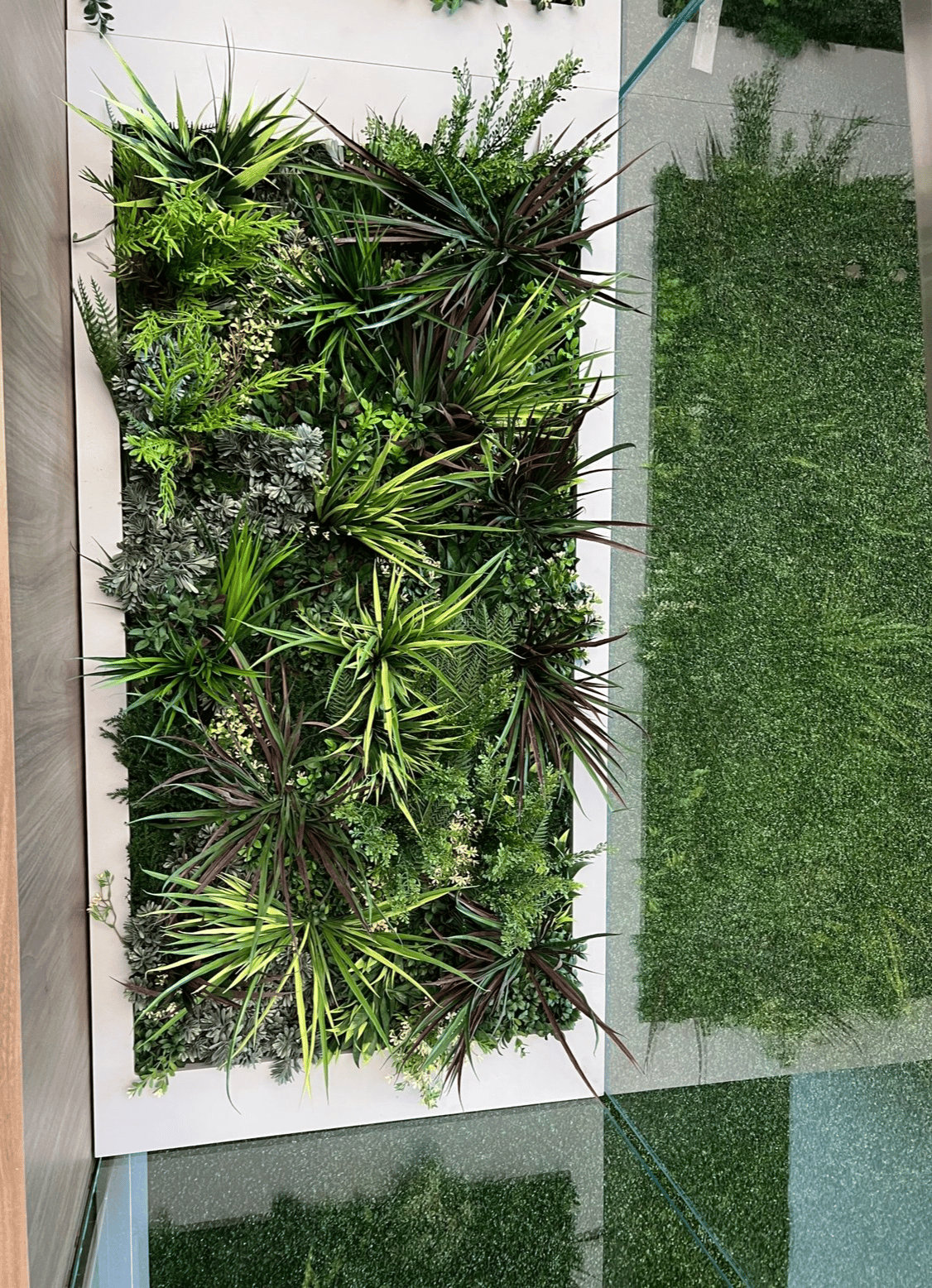 Screenshot 2026-02-24 at 1.38.05 PM