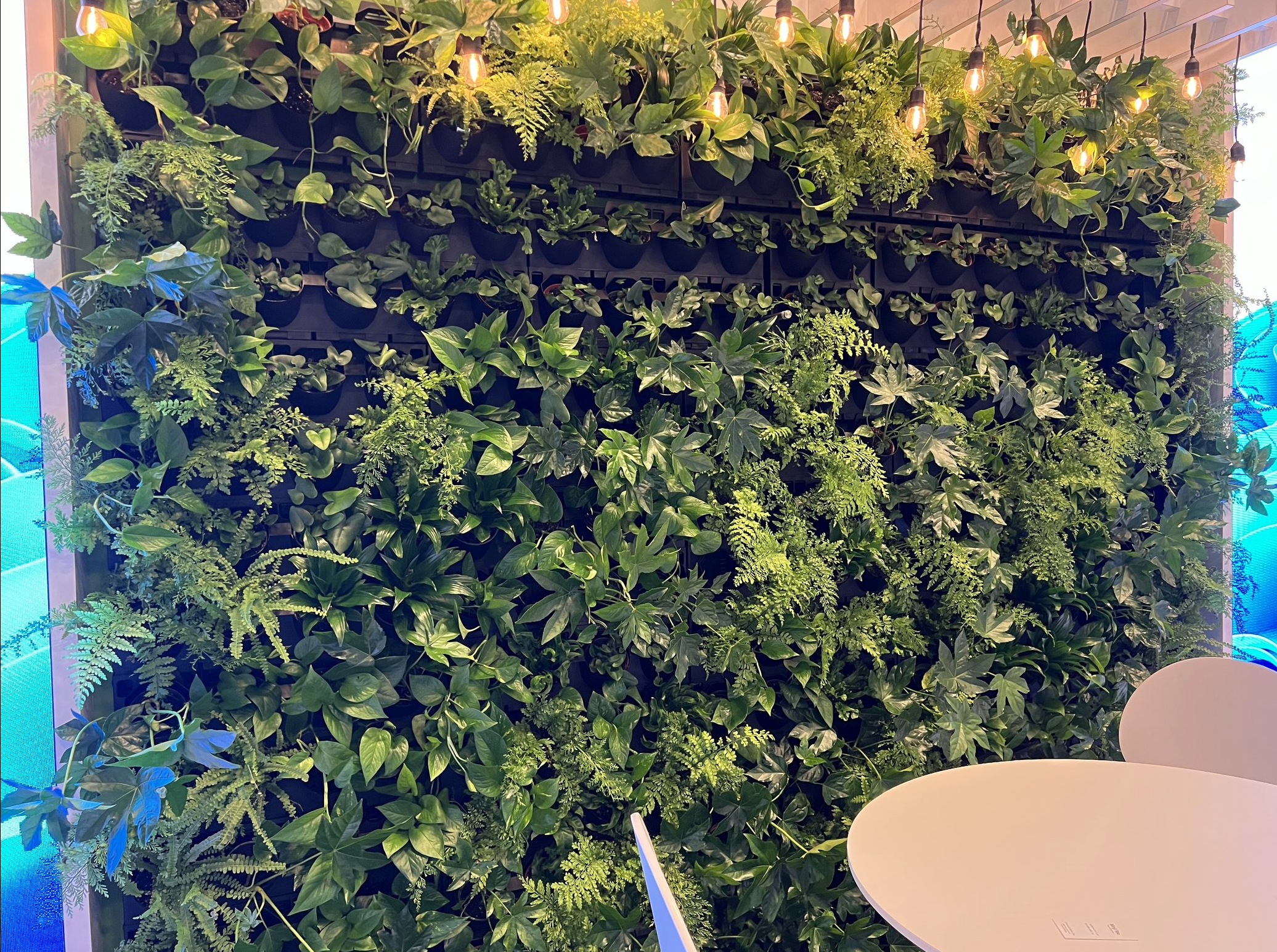 Screenshot 2026-02-24 at 1.57.32 PM