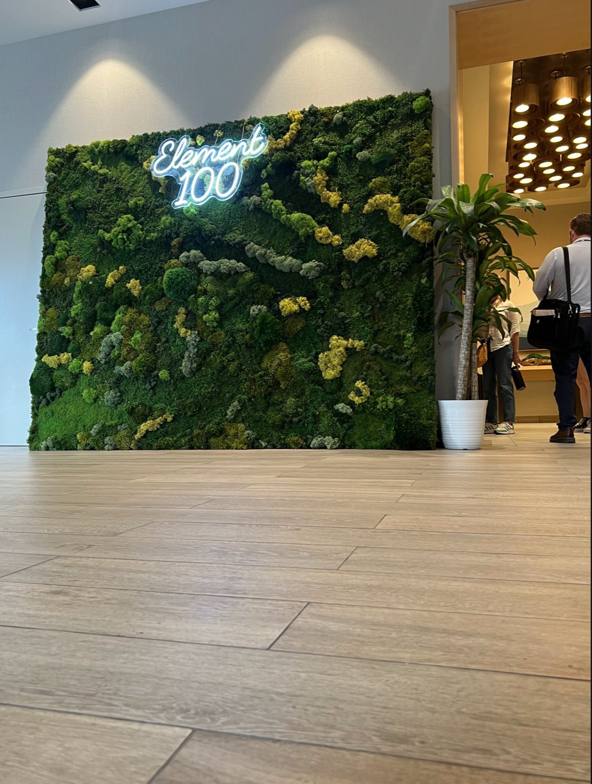 Screenshot 2026-02-24 at 4.22.58 PM