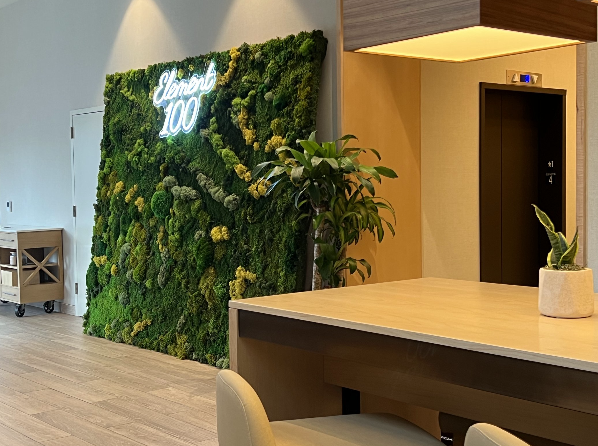 Screenshot 2026-02-24 at 4.23.35 PM