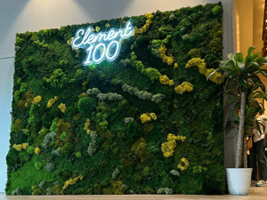 Screenshot 2026-02-24 at 4.26.16 PM