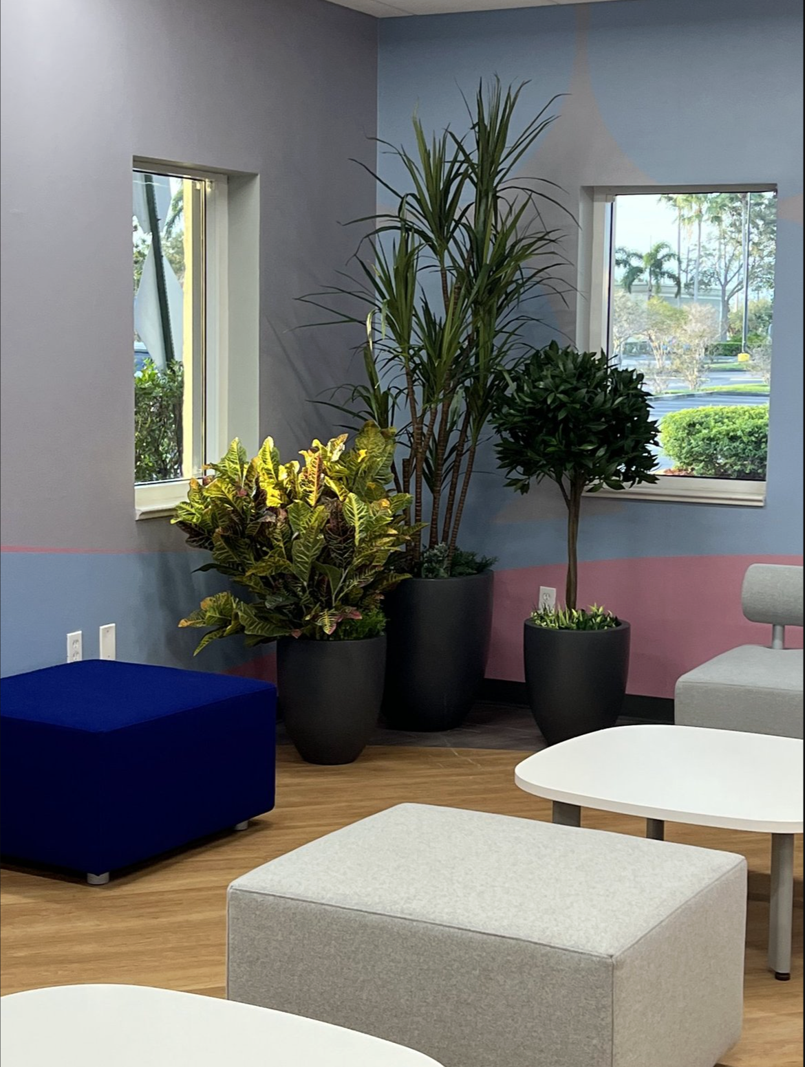 Screenshot 2026-02-24 at 4.36.26 PM