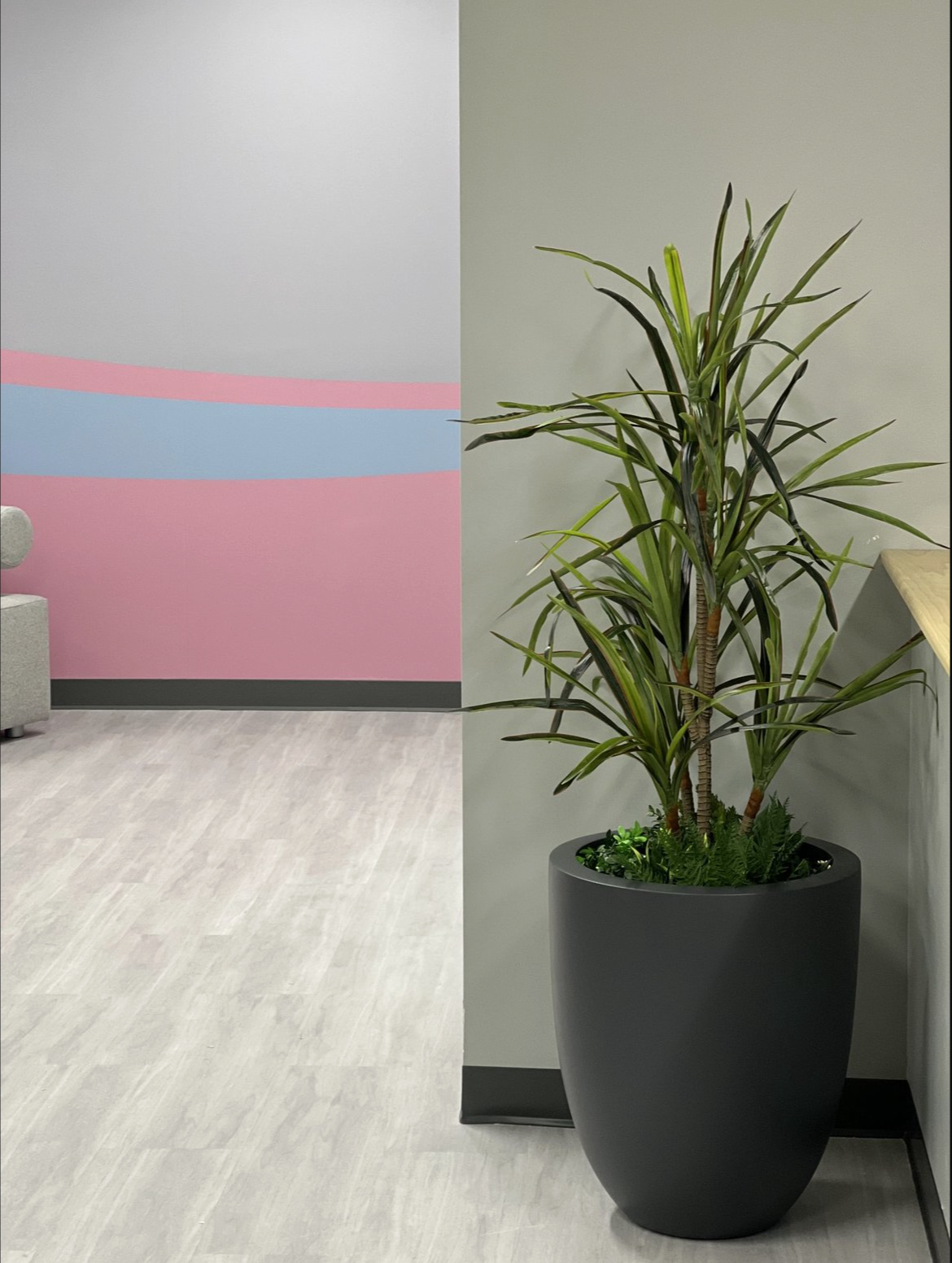 Screenshot 2026-02-24 at 4.36.37 PM