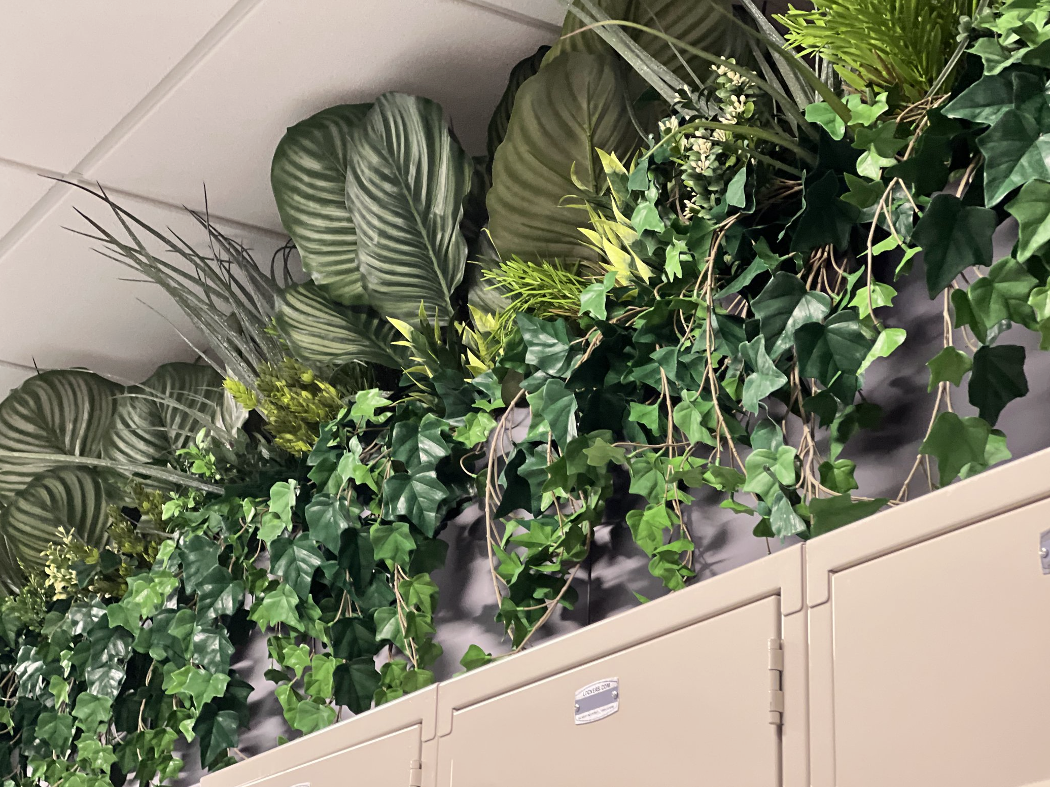 Screenshot 2026-02-24 at 4.37.47 PM