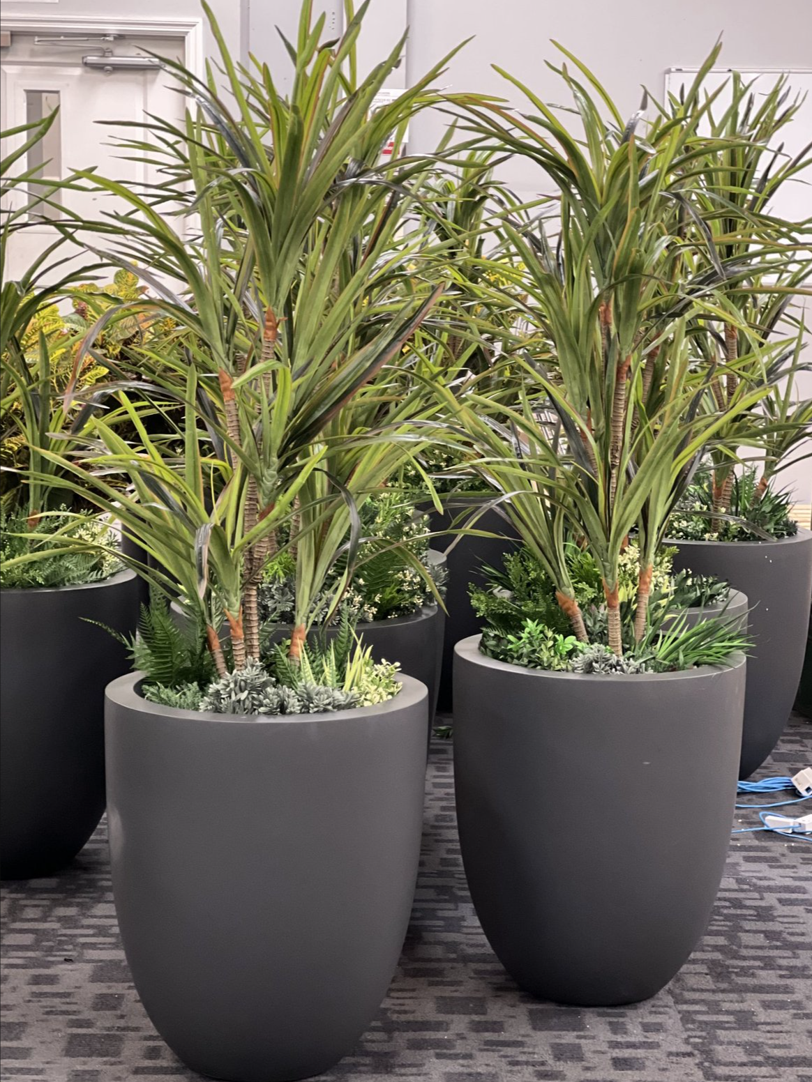 Screenshot 2026-02-24 at 4.38.28 PM