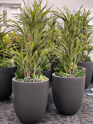 Screenshot 2026-02-24 at 4.38.28 PM