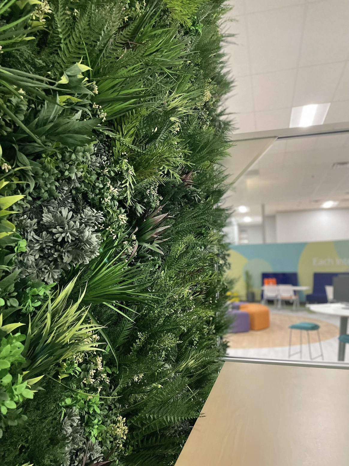 Screenshot 2026-02-24 at 4.39.18 PM