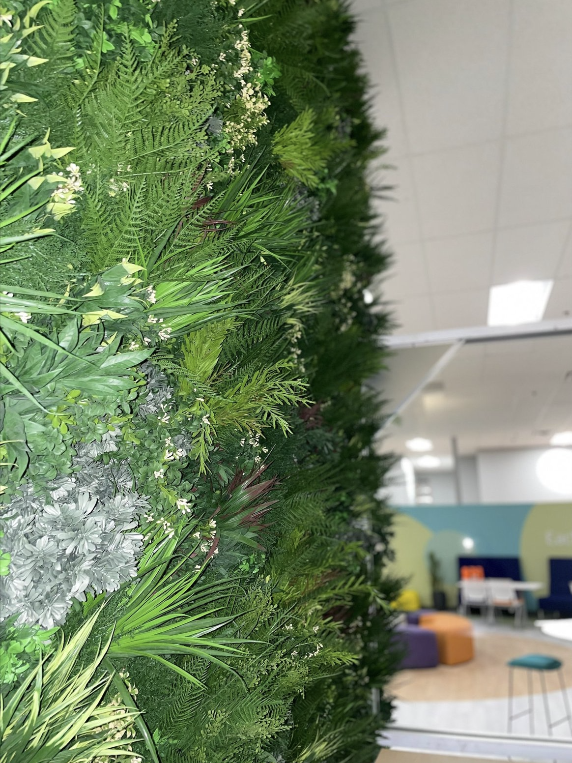 Screenshot 2026-02-24 at 4.39.46 PM