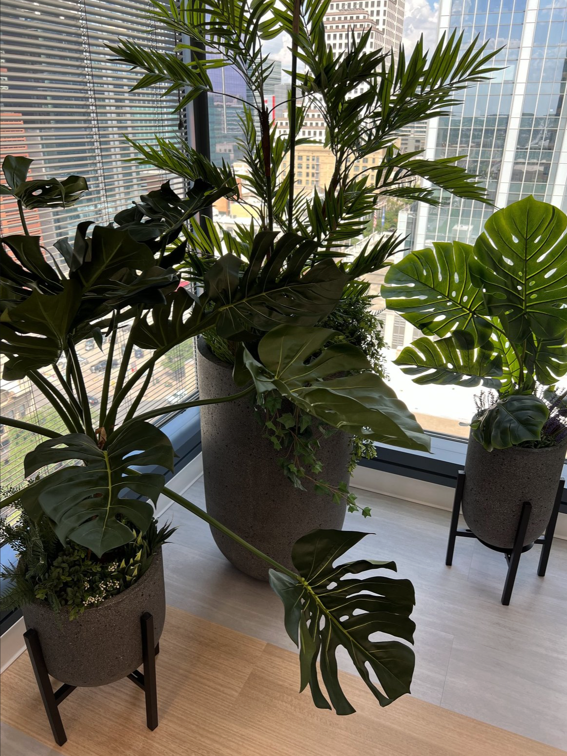 Screenshot 2026-02-24 at 4.50.09 PM-1