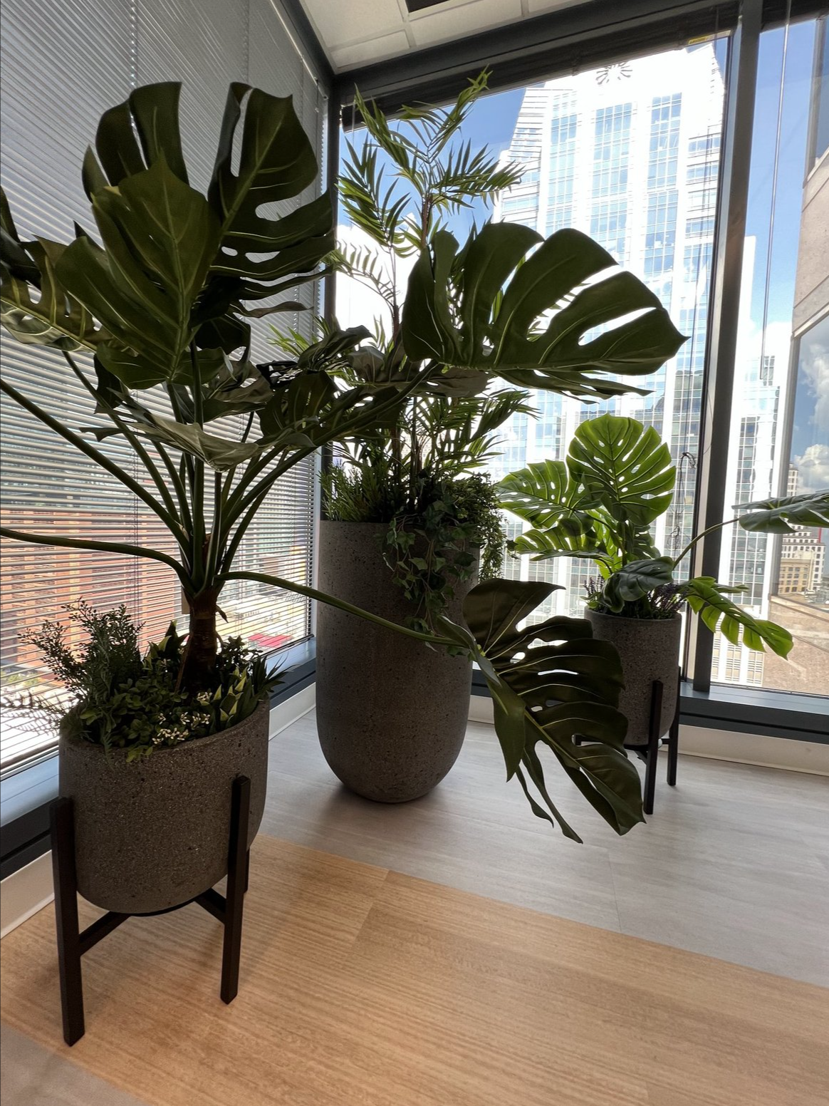 Screenshot 2026-02-24 at 4.50.20 PM