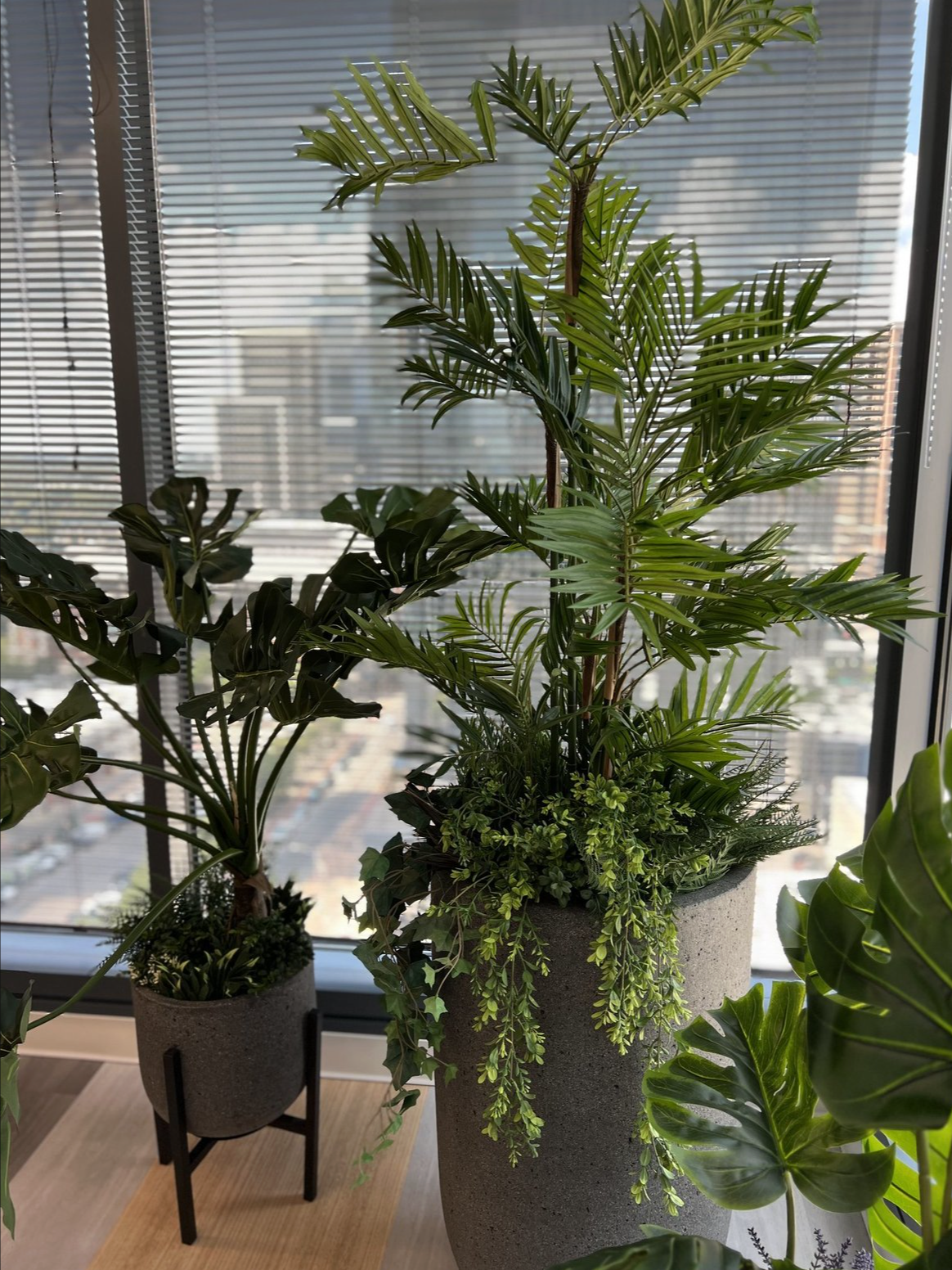 Screenshot 2026-02-24 at 4.50.33 PM