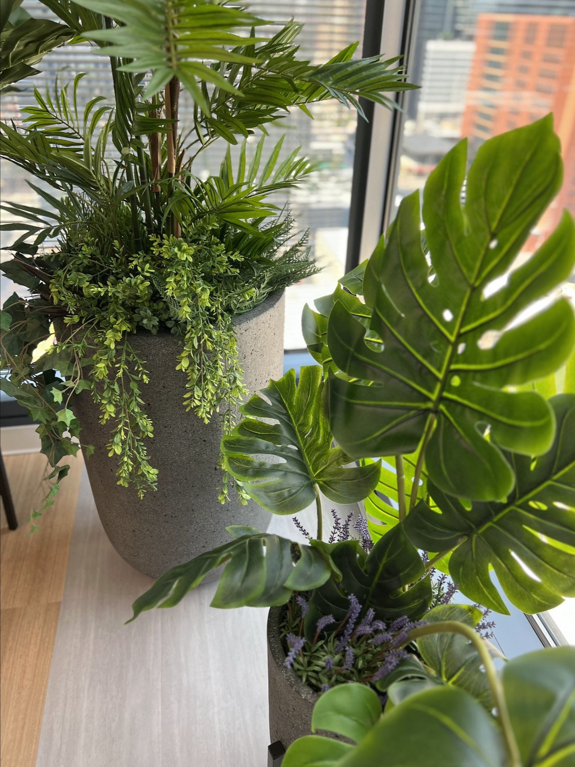 Screenshot 2026-02-24 at 4.50.40 PM