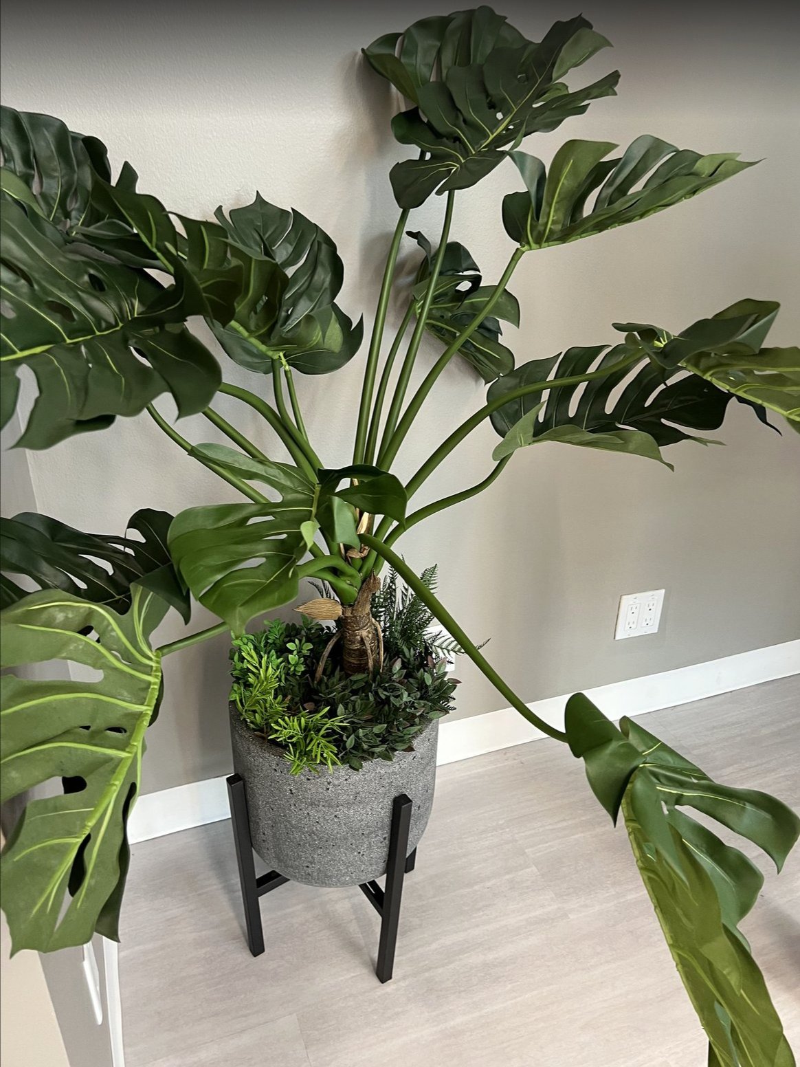 Screenshot 2026-02-24 at 4.50.57 PM