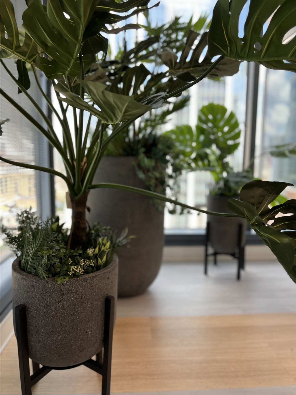 Screenshot 2026-02-24 at 4.51.19 PM