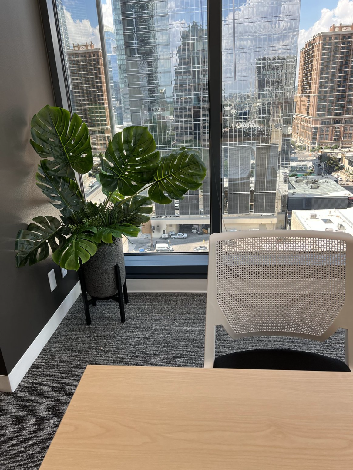 Screenshot 2026-02-24 at 4.51.54 PM