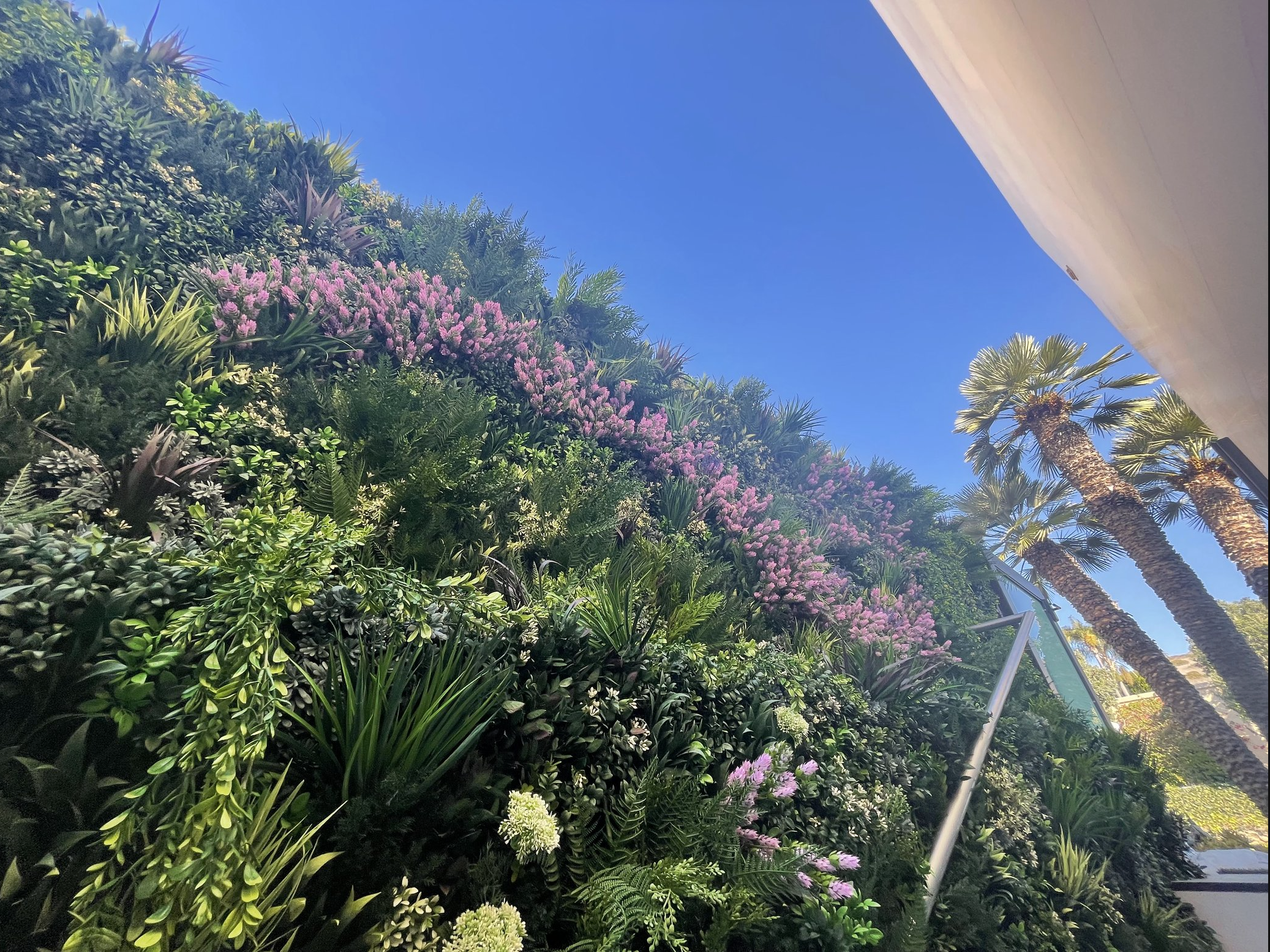 Screenshot 2026-02-24 at 5.03.57 AM