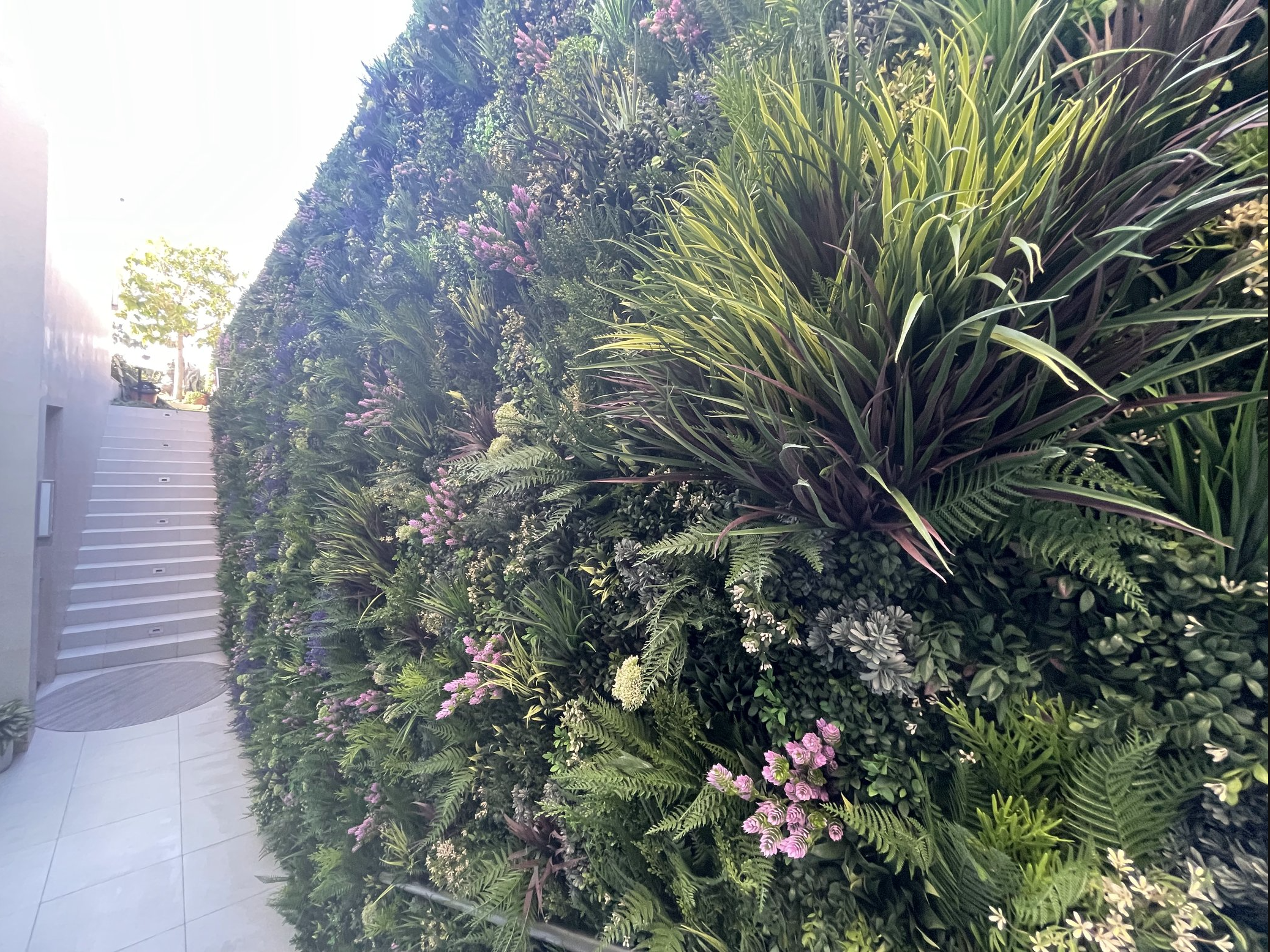 Screenshot 2026-02-24 at 5.04.19 AM