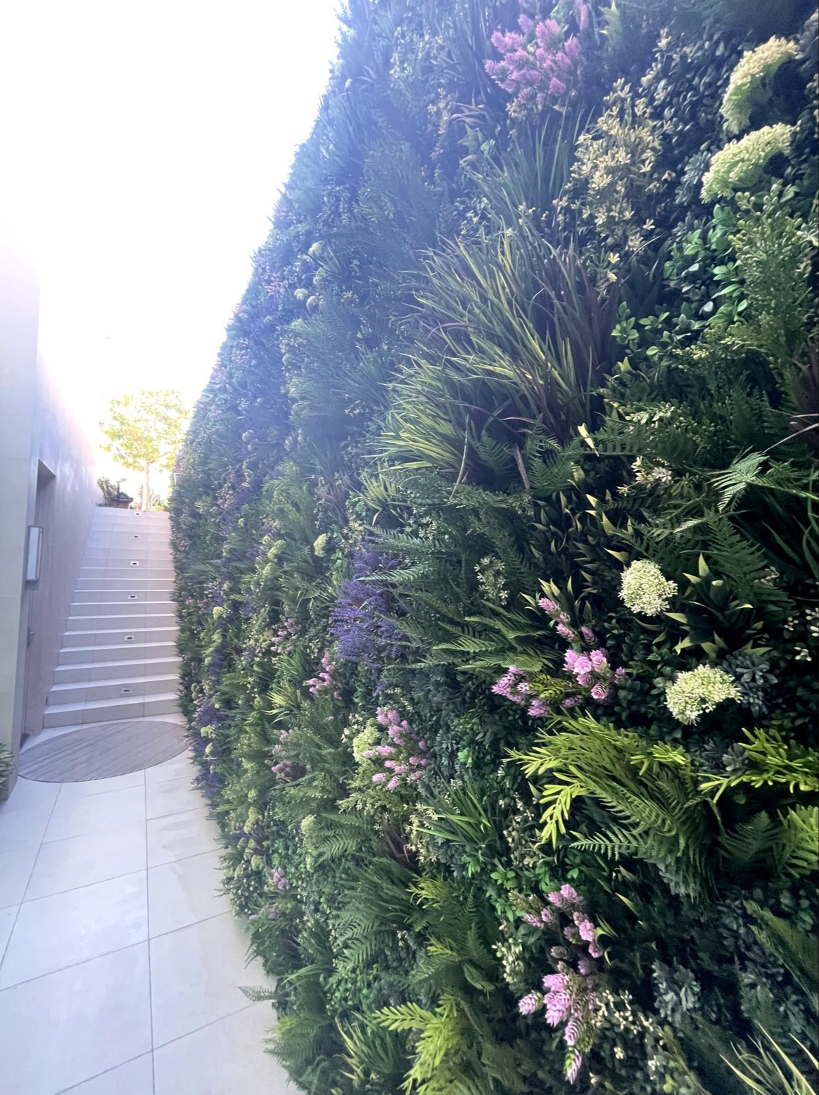 Screenshot 2026-02-24 at 5.04.47 AM