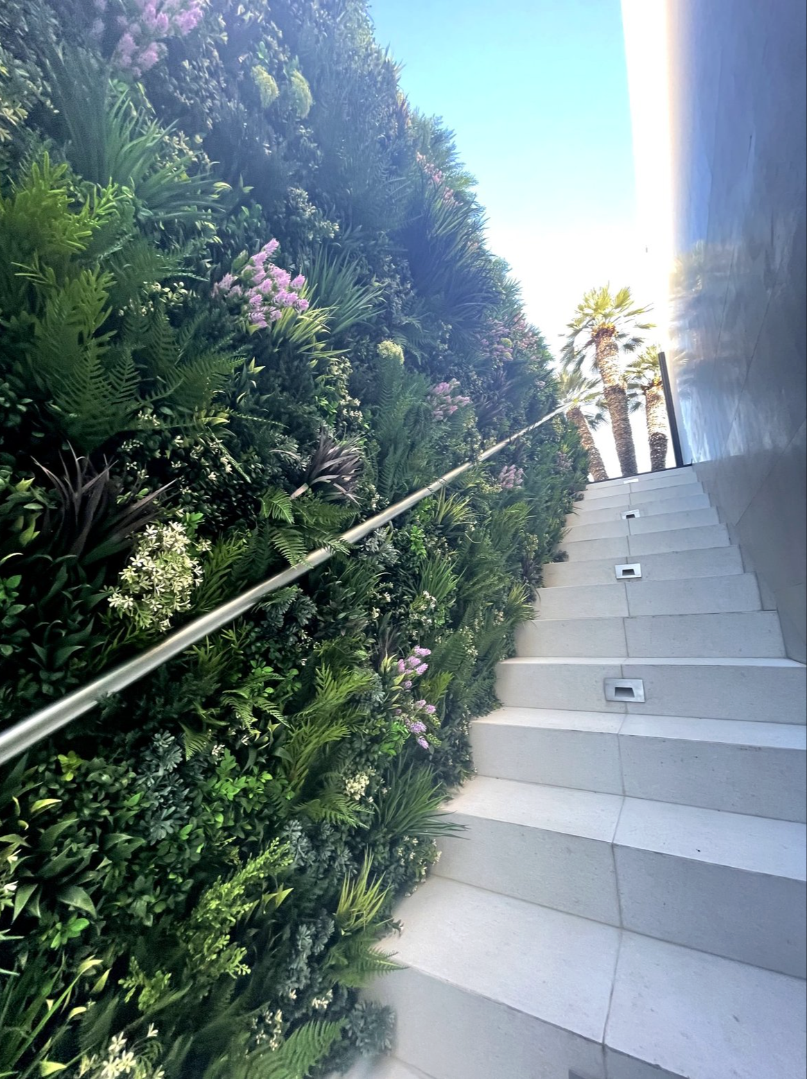 Screenshot 2026-02-24 at 5.04.55 AM