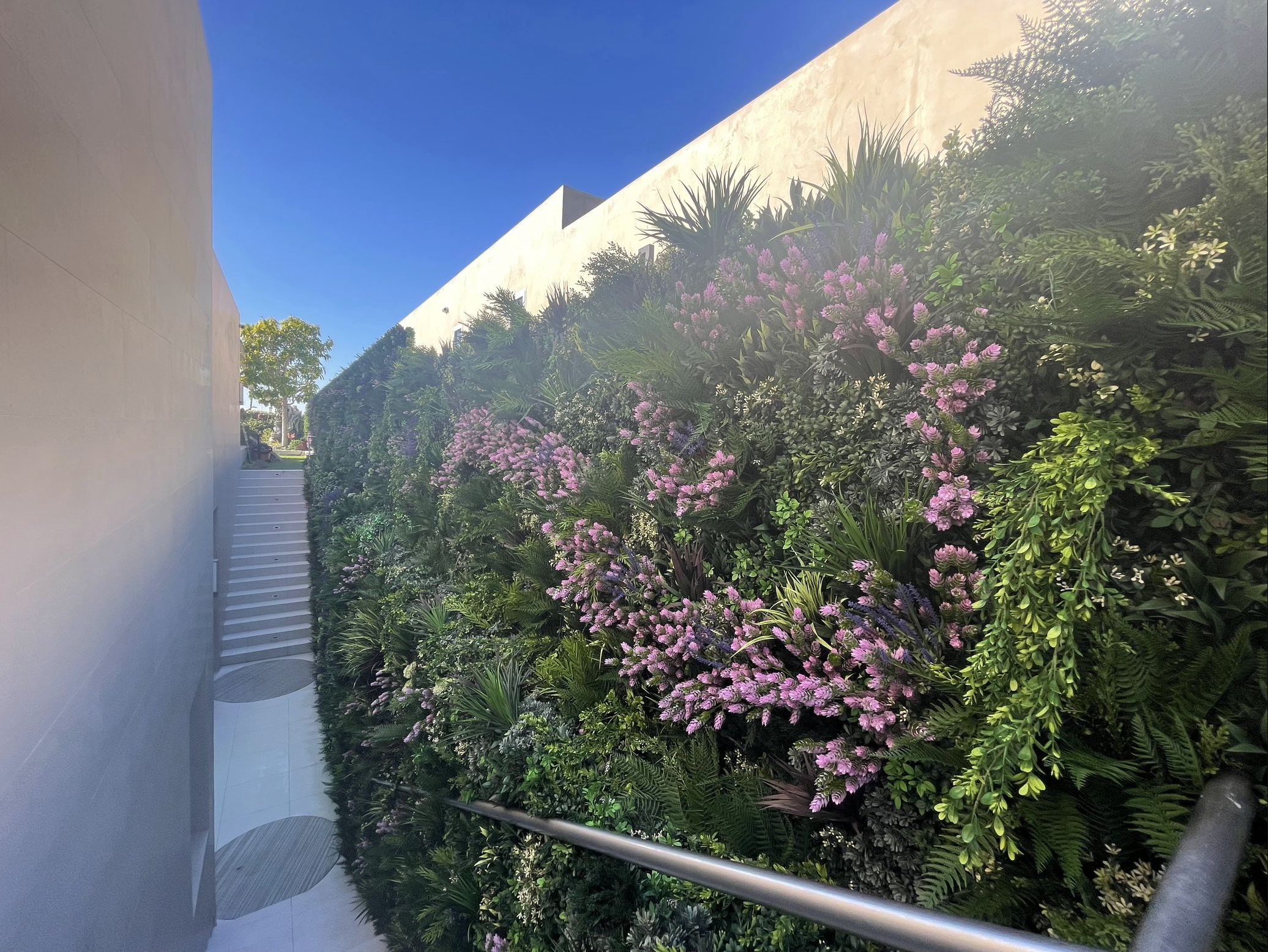 Screenshot 2026-02-24 at 5.05.20 AM