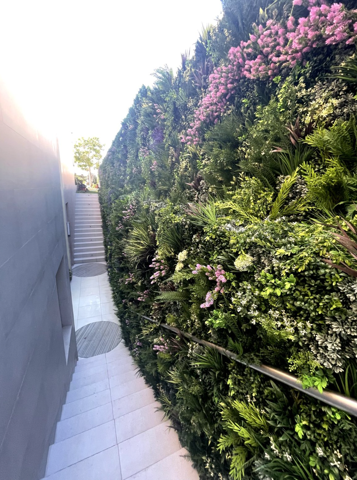 Screenshot 2026-02-24 at 5.05.38 AM