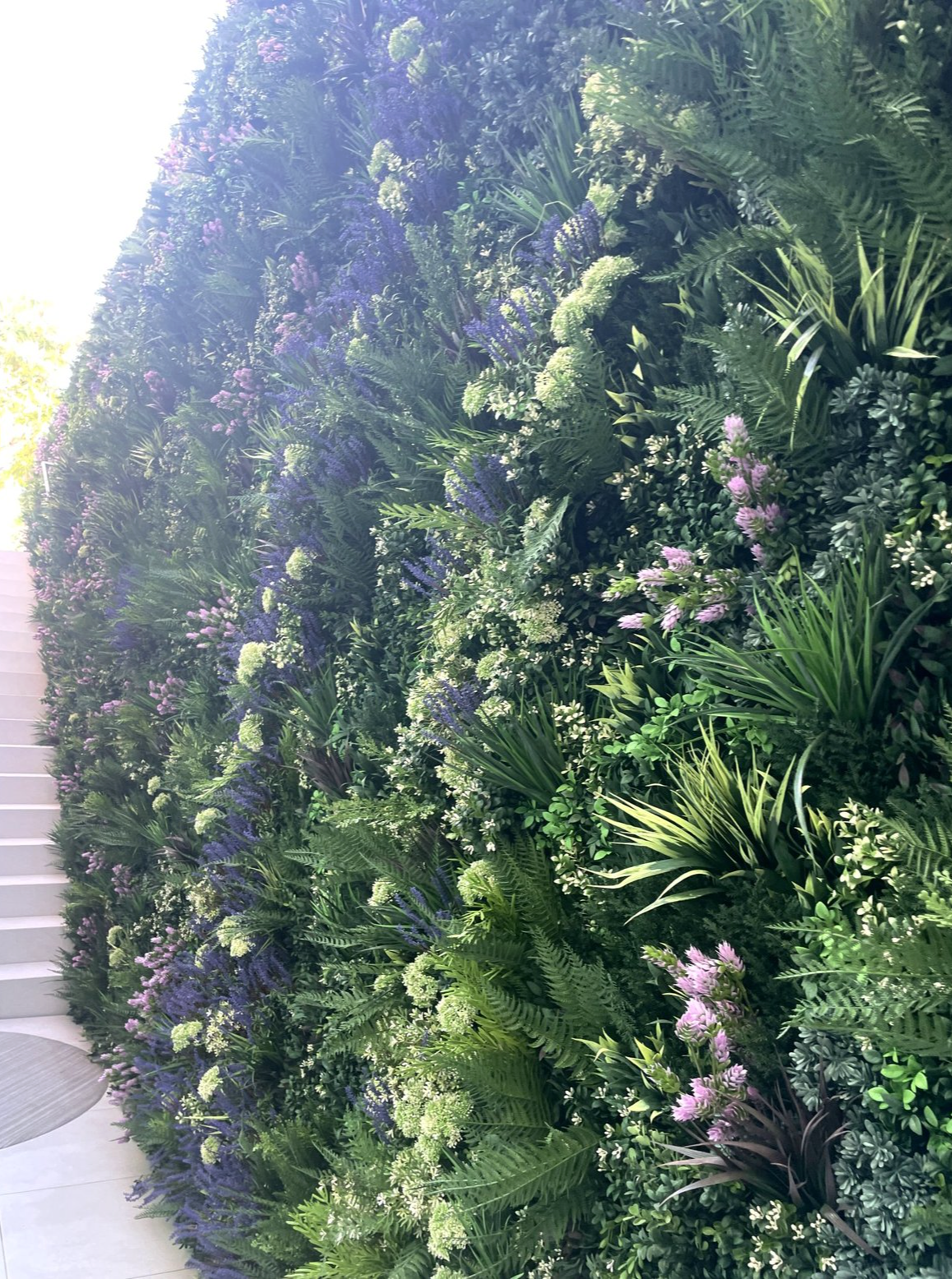 Screenshot 2026-02-24 at 5.06.10 AM