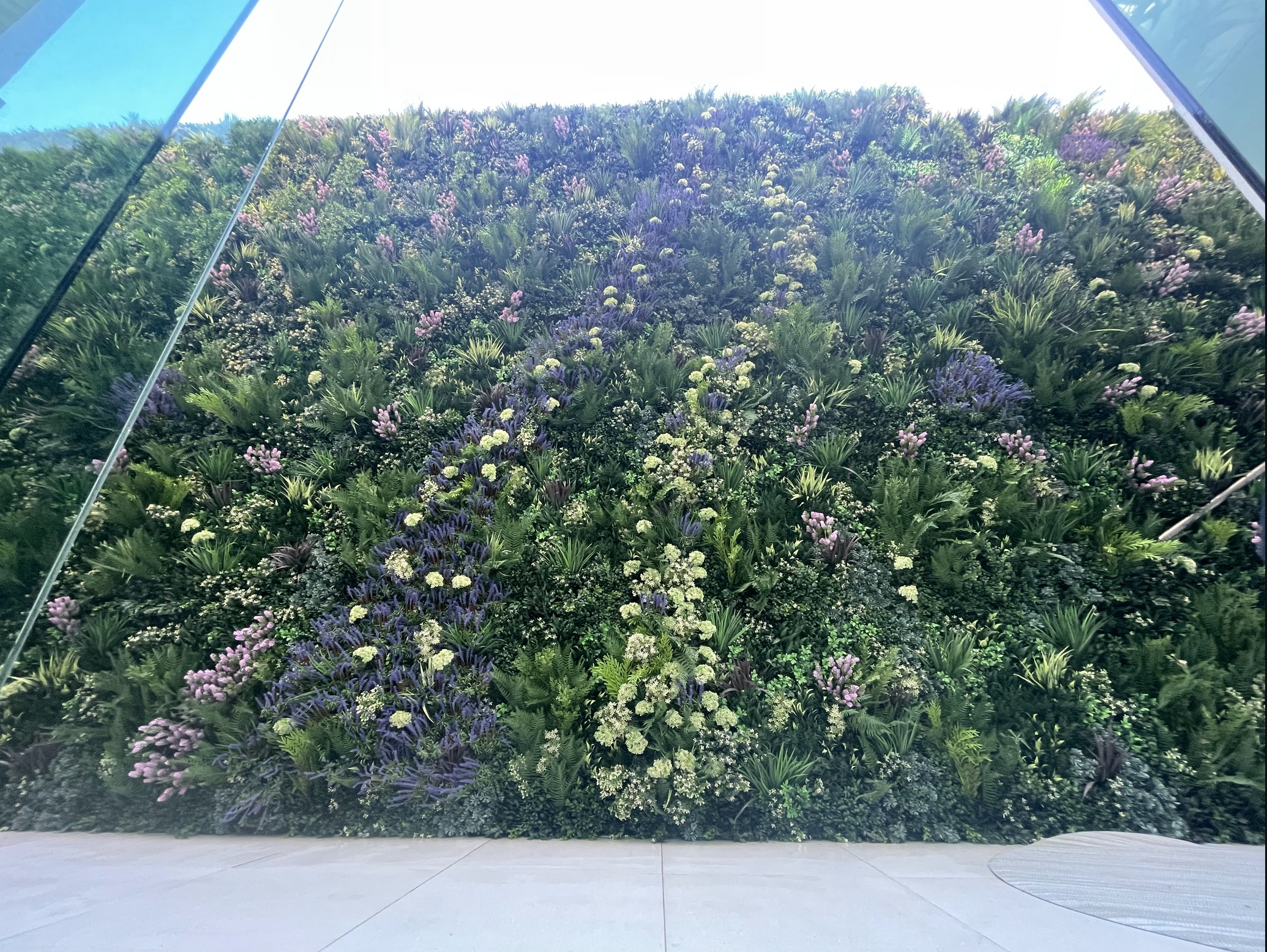 Screenshot 2026-02-24 at 5.07.14 AM